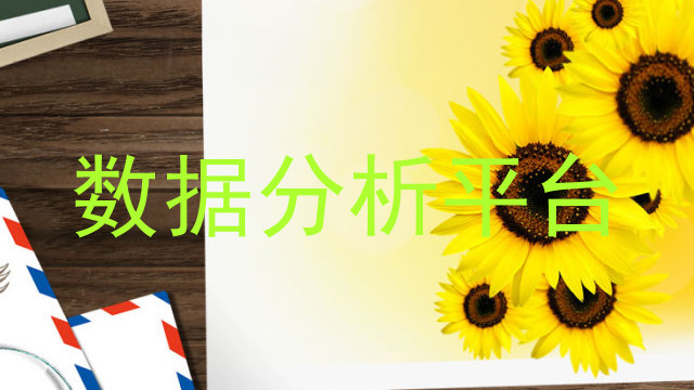 数据分析平台
