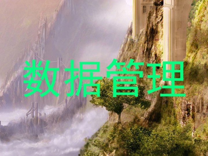 数据管理