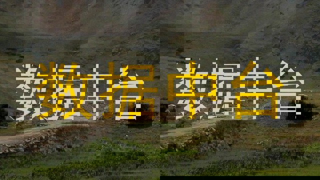 数据中台