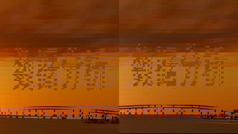 数据分析