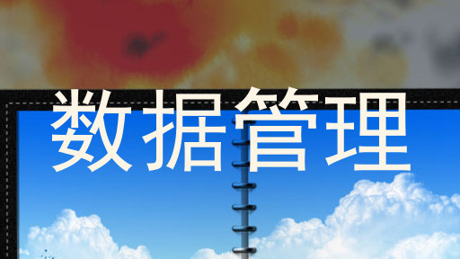 数据管理