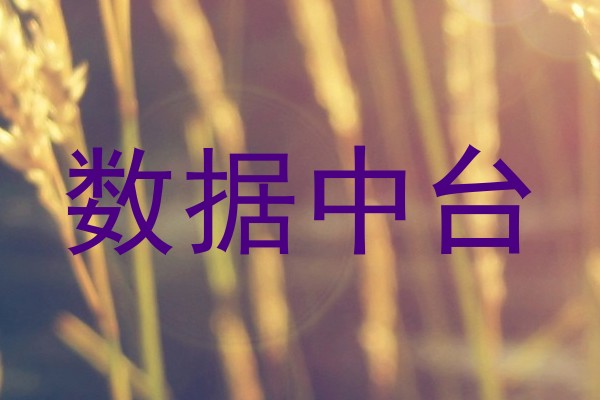 数据中台