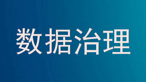 数据治理