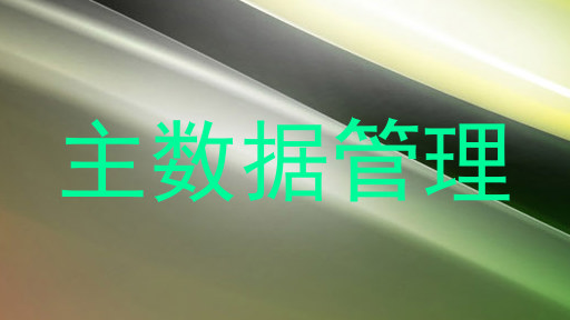 主数据管理