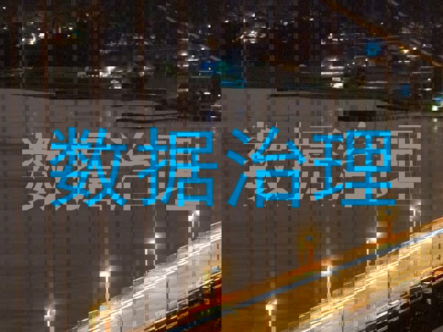 数据治理