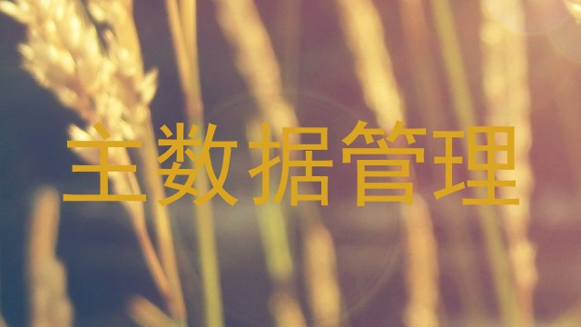 主数据管理