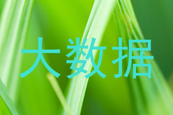 大数据