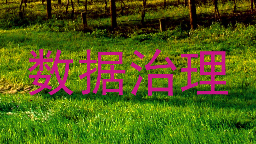 数据治理