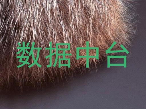 数据中台