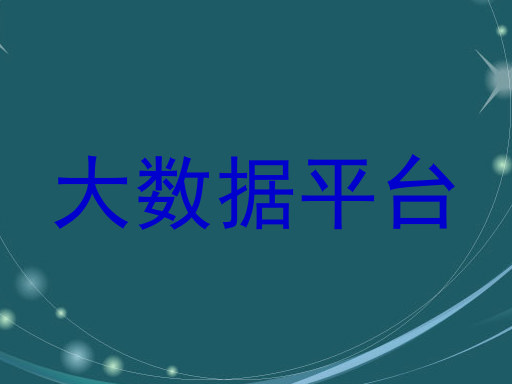 大数据平台