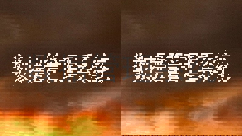 数据管理系统