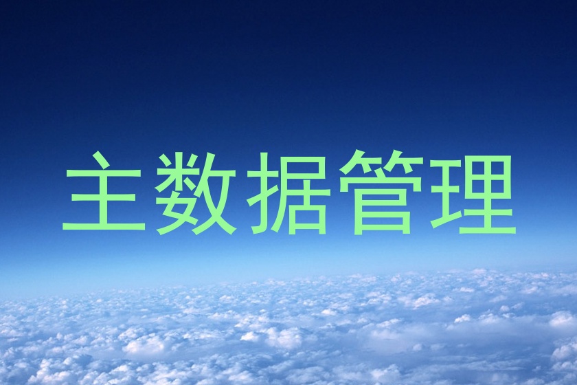 主数据管理