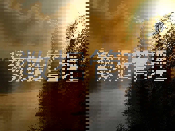 数据管理