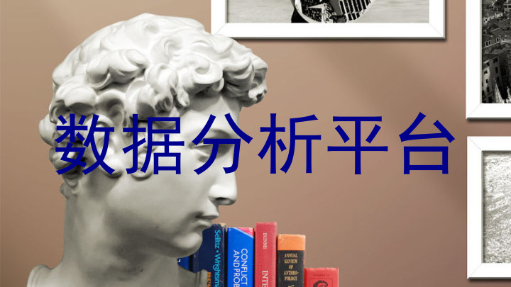 数据分析平台