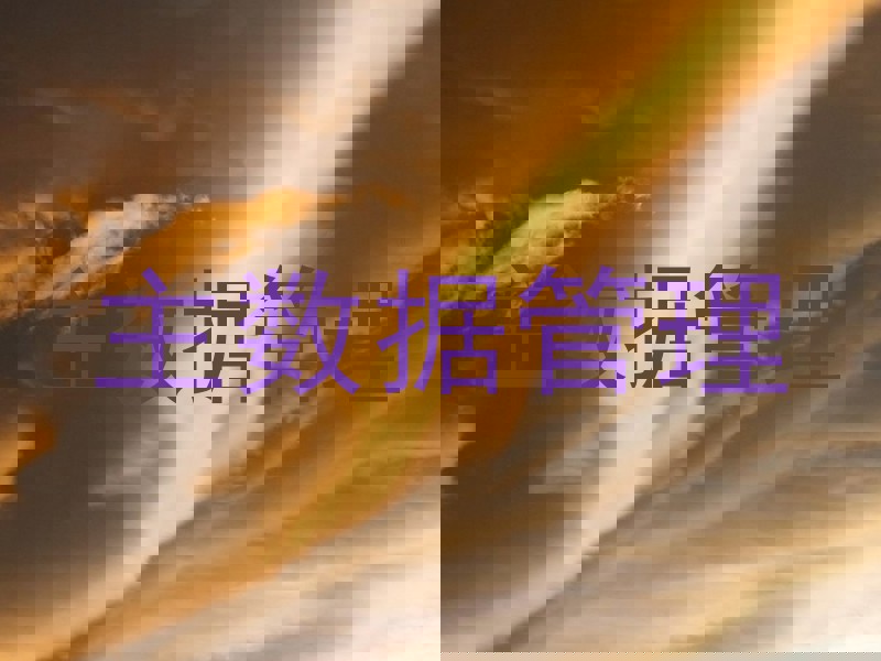 主数据管理