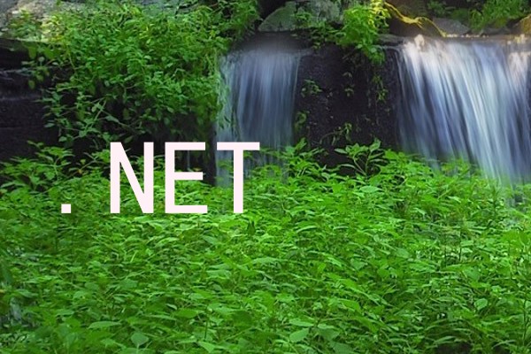 .NET