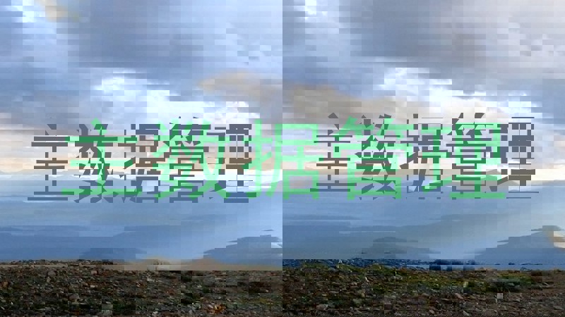 主数据管理