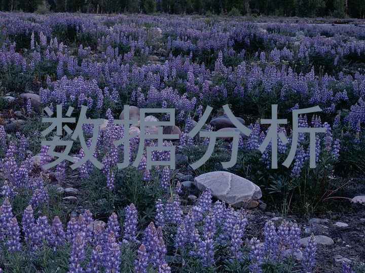 数据分析