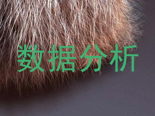 数据分析