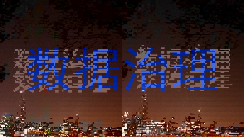 数据治理