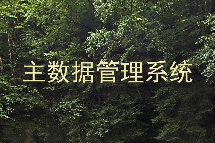 主数据管理系统