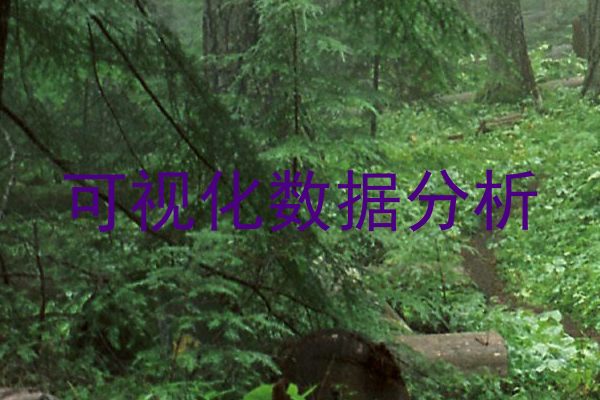 可视化数据分析