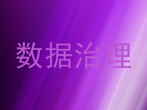 数据治理