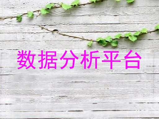 数据分析平台