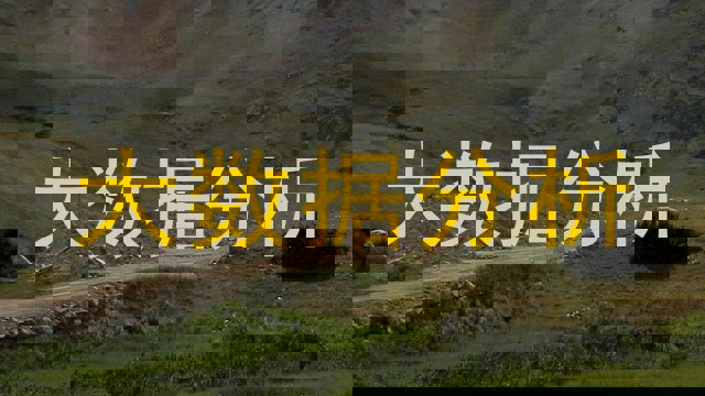 大数据分析