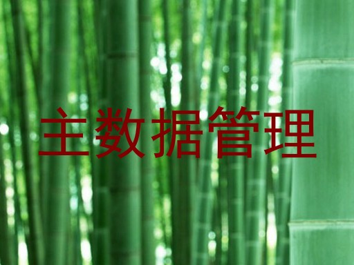 主数据管理