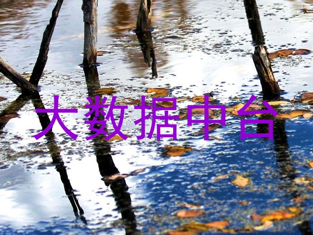 大数据中台