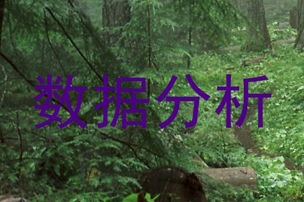 数据分析