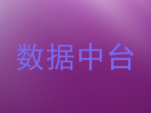 数据中台