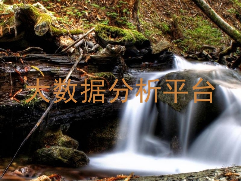 大数据分析平台