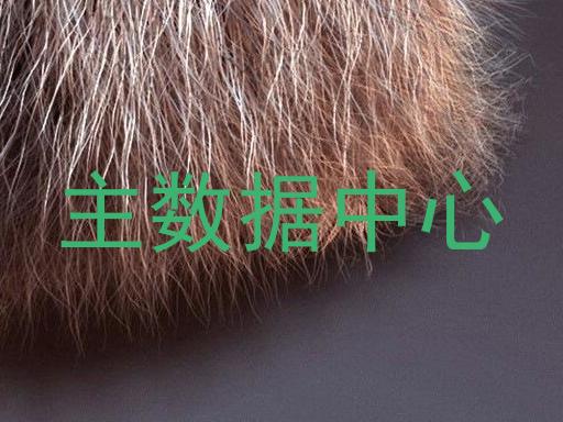 主数据中心