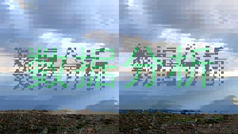 数据分析