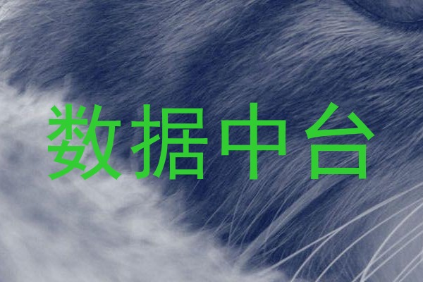 数据中台