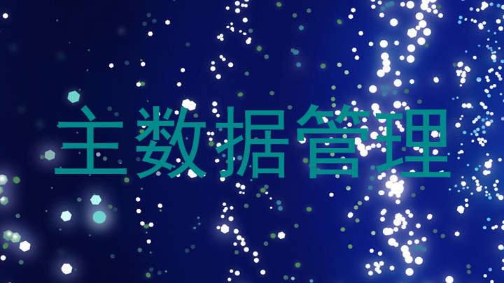 主数据管理