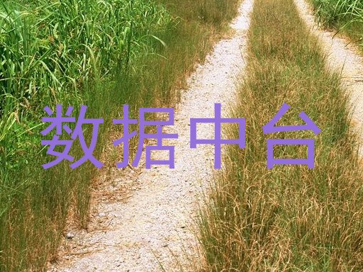 数据中台