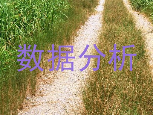 数据分析