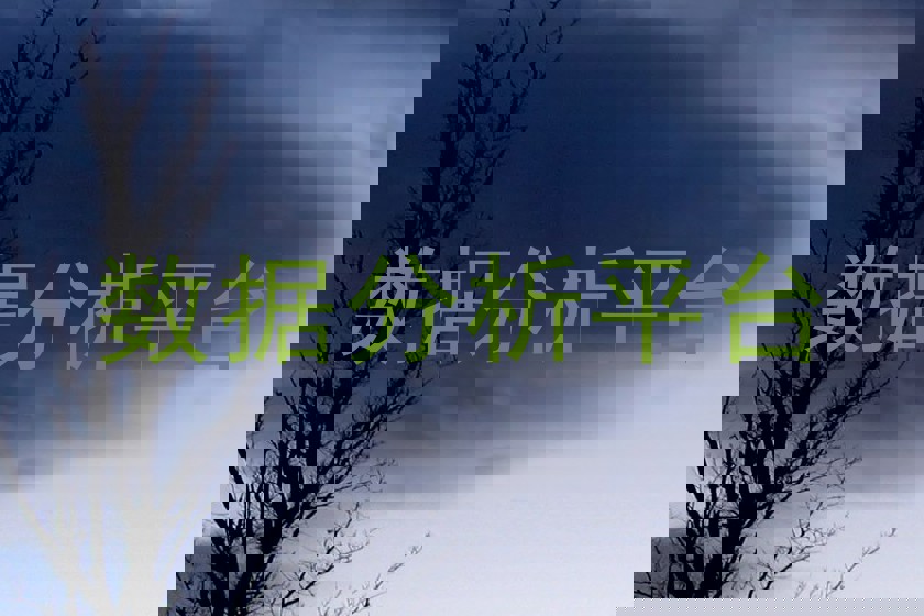 数据分析平台