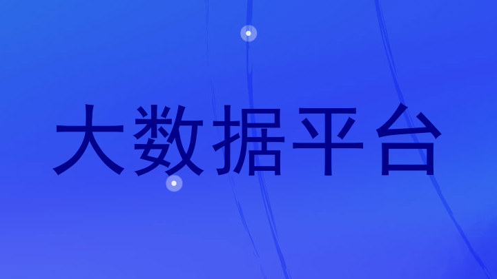 大数据平台