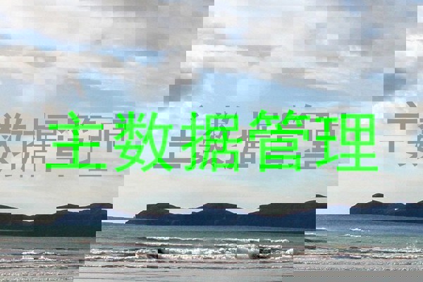 主数据管理