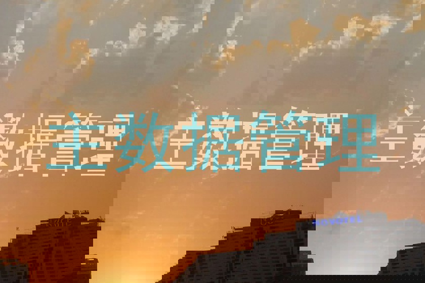 主数据管理