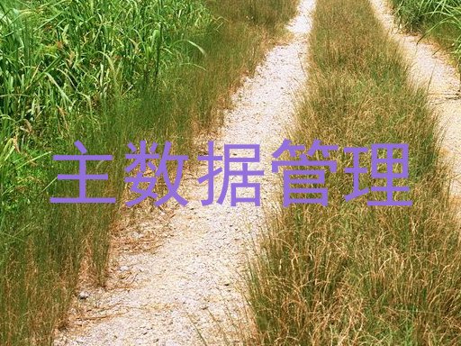 主数据管理