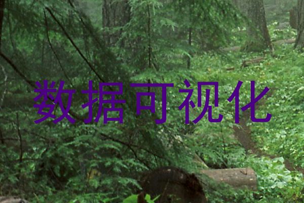 数据可视化