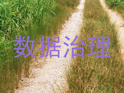 数据治理