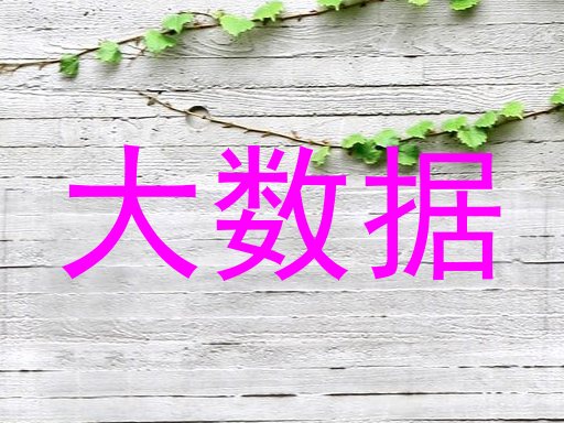 大数据