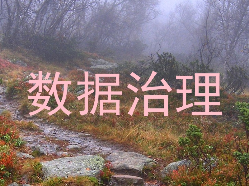 数据治理
