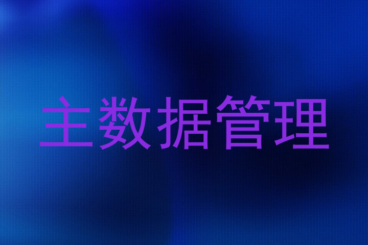 主数据管理